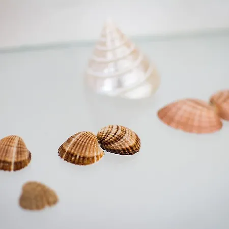 Dolce Old Town * Dubrovnik